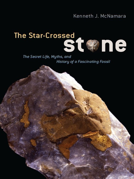 Title details for The Star-Crossed Stone by Kenneth J. McNamara - Available